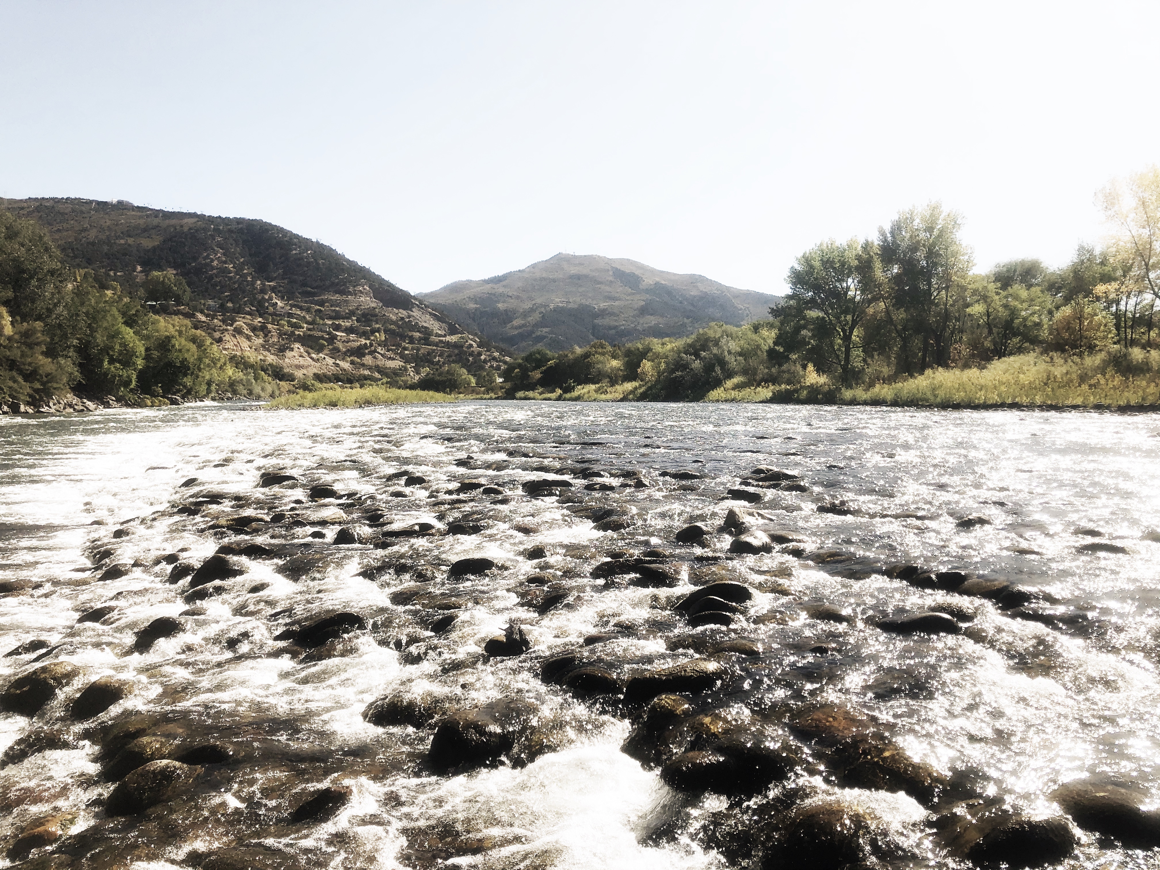 ECA81D0F-BC60-45AF-AD07-ADD234196B8F_1_201_a